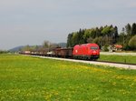 Die 2016 072 mit einem Güterzug am 22.04.2016 unterwegs bei Teichstätt.
