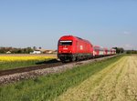 Der 2016 072 mit einem REX nach Braunau am 29.04.2016 unterwegs bei Oberseibersdorf.