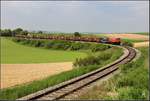 Eine Fotofahrt der Neuen Landesbahn bracht diesen Güterzug, bespannt mit zwei Dieselloks der Reihe 2050 nach Ernstbrunn. Hier im Bild der zweite große Gleisbogen bei Hetzmannsdorf. (06.05.2017)