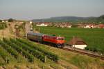 2050.09 bespannte am 26.07.2007 den Sonderzug 16000 von Wien Heiligenstadt nach Spitz an der Donau und wurde kurz nach dem Passieren der Ortschaft Unterloiben fotografiert.