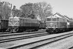 RBAHN 2050.09 und NLB 2143.56 am 21.April 2018 beim Frühlingsfest des Verein Neue Landesbahn in Mistelbach LB.