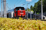 Blick über die Hecke auf die mit Rangierarbeiten beschäftigte 2068 009-6.
Aufgenommen am 18.7.2016 in Felkirch.