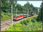 Diesellok 2143 064 ist unterwegs mit einem Gterzug nach Unzmarkt in der Steiermark.Fotografiert im Murwald bei Zeltweg 19.07.2007