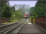 Zwei Dieselloks 2143 066 + 067 fahren mit einem Holzzug in Richtung Lavanttal.