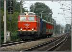  Nostalgie ;) Diesellok 2143.35 fhrt mit Erlebniszug Neusiedlersee von Pamhagen nach Wien. 
Gramatneusiedel 22.05.2008