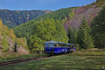 Bei perfektem Herbstwetter fand am 13. Oktober eine Fotofahrt mit den beiden 5081ern der Erzbergbahn statt. Hier eine Aufnahme, die zwischen Präbichl und Erzberg entstanden ist.