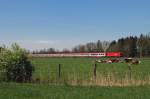 1016 001 mit OEC 565 bei bersee (27.04.2008)