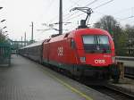 Zum 5. Mal in dieser Woche ist ein roter Ochse an der Railjetgarnitur 1. Hier in Bregenz am 18.April 2010.

Lg
