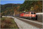 1142 567 + 1016 050 mit Leerzug 47361 von Donawitz nach Wien Zvbf. Gloggnitz 29.10.2010