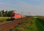 1016 030 mit einem Güterzug am 04.09.2014 bei Plattling.