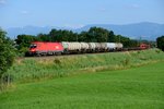 Absolut üblich für den späteren Nachmittag ist ein gemischter Güterzug aus Salzburg Gnigl nach München Nord. Am 12. Juli 2013 hing dankenswerterweise die blitzblanke 1016 039 davor. Aufnahmeort: Rann bei Großkarolinenfeld.