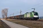 1016 023  green point  war am 15.02.2015 mit leeren Rübenwagen von Tulln nach Stockerau unterwegs. Die Aufnahme entstand kurz nach Gaisruck.