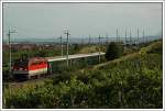Rckfahrt des EZ 1838  Erlebniszug Wiener Alpen  von Mrzzuschlag nach Bratislava-Petrzalka, aufgenommen zw. Pfaffsttten und Gumpoldskirchen. Bespannt wurde dieser Zug am 1.7.2007 von 1046 019.