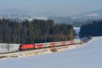 Frostiges Mühlviertel - am 21. Januar 2017 wurde noch bei Lest Position bezogen, um den R 3804 nach Ceske Budejovice abzuwarten. An diesem Tag zog 1116.268 den Zug durch die winterliche Landschaft.
