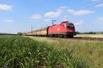 1116 108 ÖBB mit einem Altmannzug bei Niedernjesa am 20.06.2017