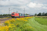 1116 183 mit einem KLV-Zug bei Plattling Richtung Regensburg, 19.08.2017