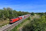 1116 276 mit einem REX am 12.08.2018 bei Strasshof an der Nordbahn.