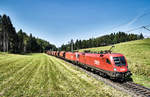 1116 282-5 und 1216 147-9 fahren mit einem Güterzug, auf der Fahrt in Richtung Jesenice, bei Schlatten, nahe Rosenbach vorüber.
Aufgenommen am 28.8.2018.