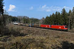 Die ÖBB 1116.191 und 273 bespannten am 20. März 2020 einen gemischten Güterzug in Richtung Österreich. Vermutlich handelte es sich dabei um einen Umleiter von der Passauer Bahn. Entstanden ist das Bild in einem Waldstück zwischen Grafing und Assling. 
