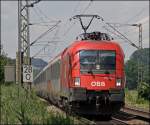Auf der langen Reise des EC  115  WRTHERSEE  von Dortmund Hbf nach Klagenfurt Hbf darf die 1116 267 den Zug ber den schnsten Abschnitt (Mnchen-Klagenfurt) bespannen. Bei Bernau am Chiemsee wird der Zug auf den Chip gebannt. 
