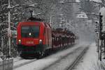 Den ARZ 15802 (Ws ab 10.35) bespannt leider nur die 1116.022. Hier zu sehen, kurz vor Pressbaum im winterlichen Wienerwald, am 31.01.2009.