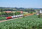 Mit einem Gterzug - wahrscheinlich 54795- war am 26.06.2011  die 1116 198 bei Wartberg an der Krems zu sehen.