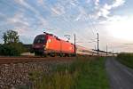 1116 056 mit OIC 869 im abendlichen Gegenlicht des 27.07.2011 Richtung Wien Westbahnhof. Die Aufnahme entstand kurz vor Neulengbach.