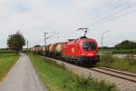 1116 260 mit einem Kesselwagenzug am 06.08.2011 auf der Mangfalltalbahn bei Bad Aibling.