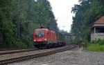 1116 134 zog am 03.07.12 einen Wechselpritschenzug durch Aling Richtung Rosenheim.