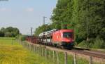 1116 281-5 mit einem Autozug bei Vogl 18.5.13