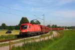 1116 097 auf der  Rohrdorfer Lokalbahn  zum Zementwerk - 19/06/2013