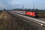 OIC 641 hat die Nebelwand durchbrochen und ist nur mehr wenige Kilometer von seinem Ziel in Wien Westbahnhof entfernt. Die Aufnahme entstand am 23.10.2013 im Tullnerfeld, wenige Kilometer vor dem Westportal des Wienerwaldtunnels bei Chorherrn.