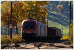 1116 044, 1016 023 und 1016 044 ziehen einen Gterzug durch das herbstliche Murtal.
St Lorenzen 10.2013