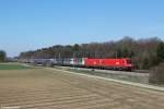 1116 031 und 1116 029 mit einem KLV Zug am 28.03.2014 bei Eglharting.