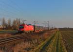 1116 066 mit einem Containerzug am 26.02.2015 bei Plattling. 