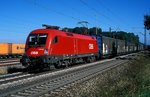  1116 019  bei Ulm  03.09.13