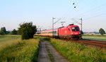 1116 118 mit EN 490 Wien Hbf - Hamburg Altona am 06.06.2016 bei Burgstemmen