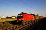 1116 030 fährt am Abend des 9.9.2016 mit einem Schiebewandganzzug in Plattling vorüber.