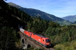 Am Schlossbachviadukt ergibt sich ein herrlicher Blick auf Bad Hofgastein. Allerdings muss man dies eigentlich schon in der Vergangenheitsform schreiben, denn der vor einiger Zeit freigeschnittene Hang ist schon wieder fast komplett zugewachsen. Am 24. September 2014 konnte das Taurustandem 1116.279 und 1016.005 hier mit einem gemischten Güterzug bergwärts fahrend aufgenommen werden.