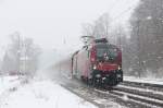 BB 1116 205 zieht am 15.02.13 eine Railjet Garnitur in Richtung Mnchen.