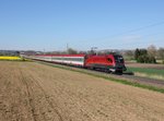 Die 1116 154 mit einem Umgeleiteten EN nach Wien am 16.04.2016 unterwegs bei Rohr im Kremstal.