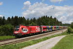 1116 249 mit dem  ÖFB-Railjet  aus Salzburg kommend am 24. Mai 2020 bei Grabenstätt im Chiemgau.
