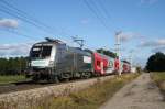 1116.038  Werbelok Siemens  R 2325 von Floridsdorf nach Payerbach Raichenau  am 12.11.2009 Neunkirchen N