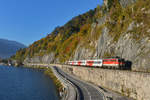 1142 685 mit einem REX am 14.10.2017 bei Ebensee.