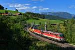 1142 636 + 1144 105 mit einem Güterzug am 08.09.2017 bei Eichberg.