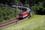 Die 1142 619-4 bracht am 21. Juli 2009 ein Gterzug ber den Semmering Richtung Gloggnitz. Diese Aufnahme entstand bei Eichberg am Semmering.