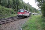 Am 20.09.13 zog die 1142 624-4 als Zuglok vor der  Cats Lok 1116 153-6  den tglichen Autozug ber den Semmering Richtung Sden, aufgenommen kurz vor dem Wagnergraben Viadukt ca. bei Km 93,5 mit Blickrichtung Payerbach.