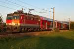 1142 691 fhrt mit dem REX 7134 der untergehenden Sonne entgegen. Muckendorf, am Abend des 24.09.2013.