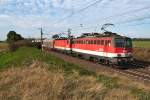 1142 639 und 1144 056 sind mit einem Gterzug auf der Ostbahn zwischen Himberg und Gramatneusiedl unterwegs. Die Aufanahme entstand am 01.10.2013.