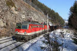 1142.698+1144.108 fahren mit G-55501 zwischen Breitenstein und Wolfsbergkogel kurz vor dem Adlitzgraben-Viadukt am 28.1.17 bergwärts.